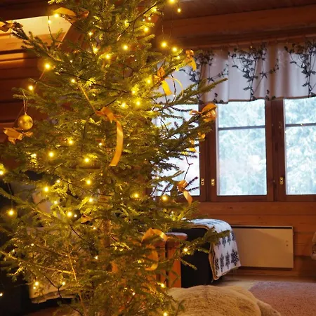 Rukan Karhumoekki Prázdninový dům